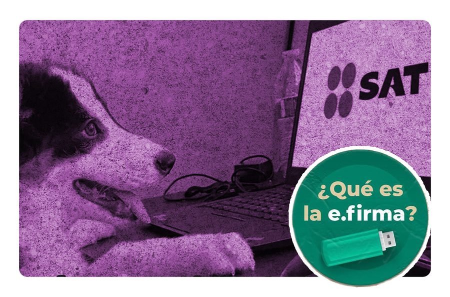 ¿Cómo sacar la firma electrónica del SAT por internet?