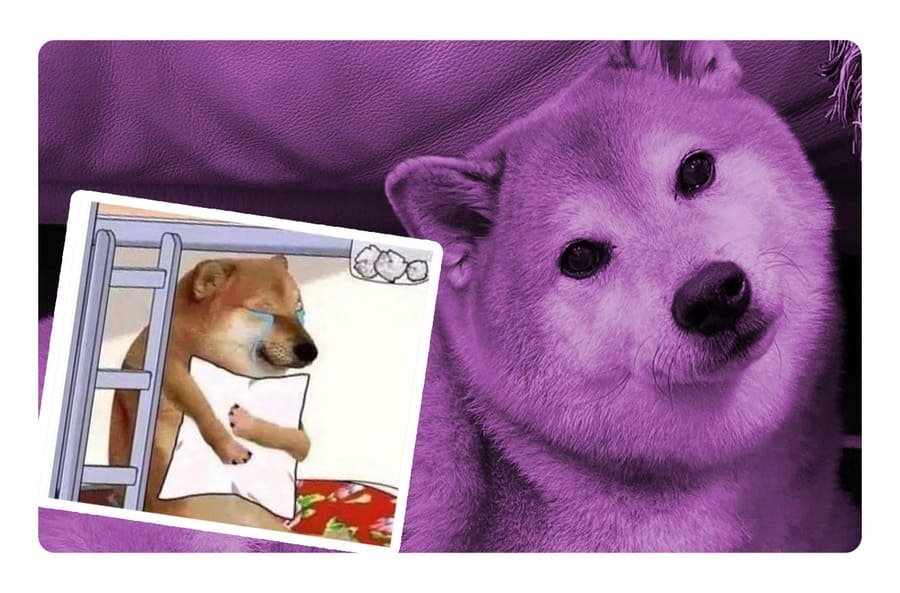 Muere el perrito del meme: ¿Quién era Cheems y de qué murió?