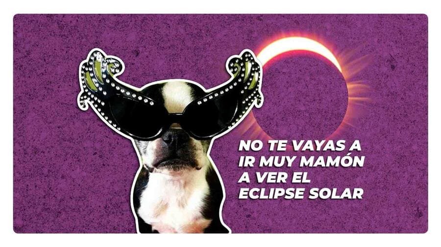 ¿Cómo ver el eclipse solar de manera segura?: Te decimos dónde comprar tus lentes