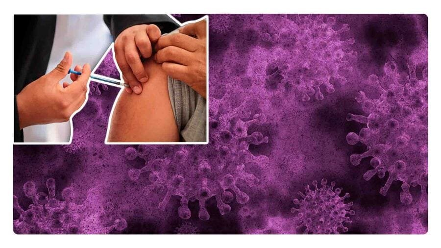 ¿La vacuna contra Covid-19 también protege de la nueva variante Pirola?