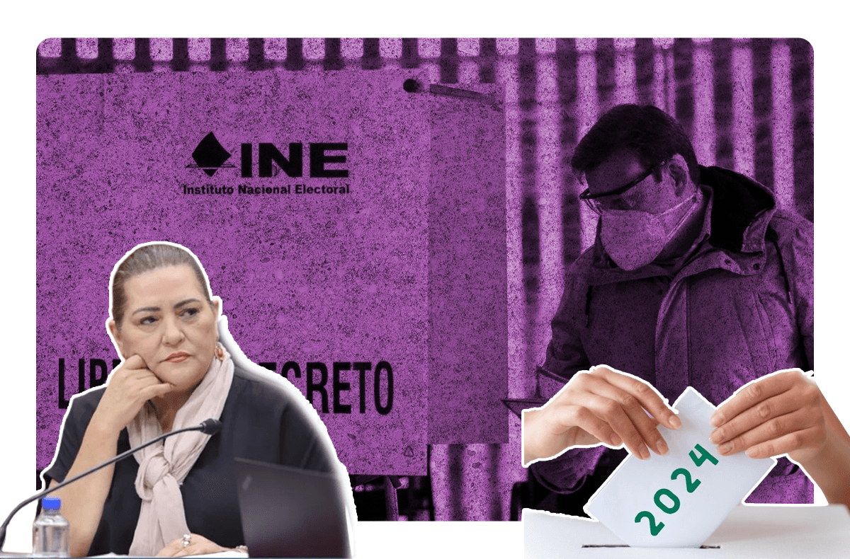 Elecciones 2024, las más grandes de la historia: Taddei