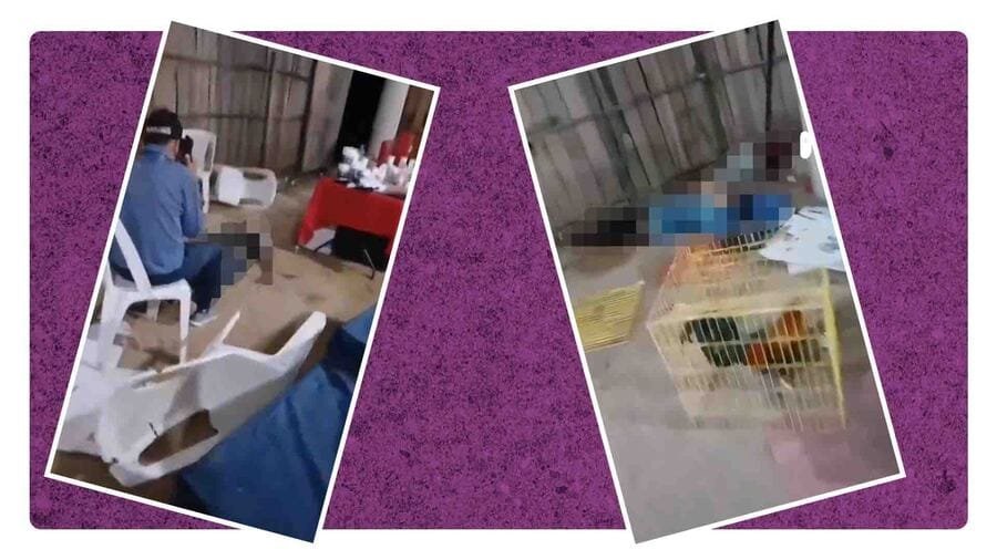 Balacera deja seis personas muertas en Petatlán, Guerrero: ¿Qué pasó?