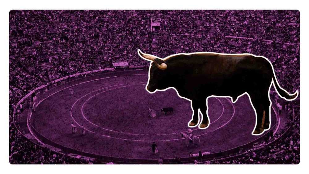 Corridas de Toros en México: un espectáculo de crueldad y tortura