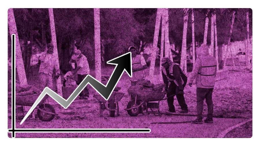 Disminuye el empleo en México en enero de 2024, en comparación con 2023: IMSS