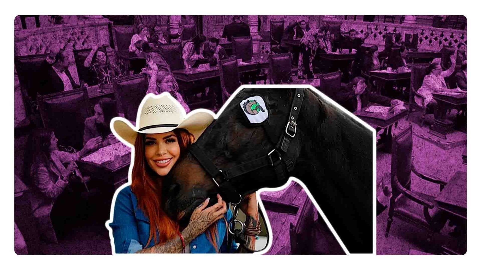 Ley Elena para todos los animales en México: ¿De qué se trata?