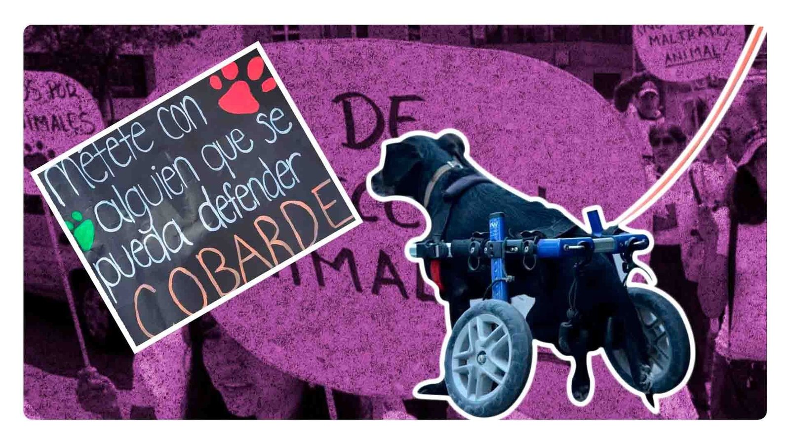 Marcha por los animales: Son alguien, no algo