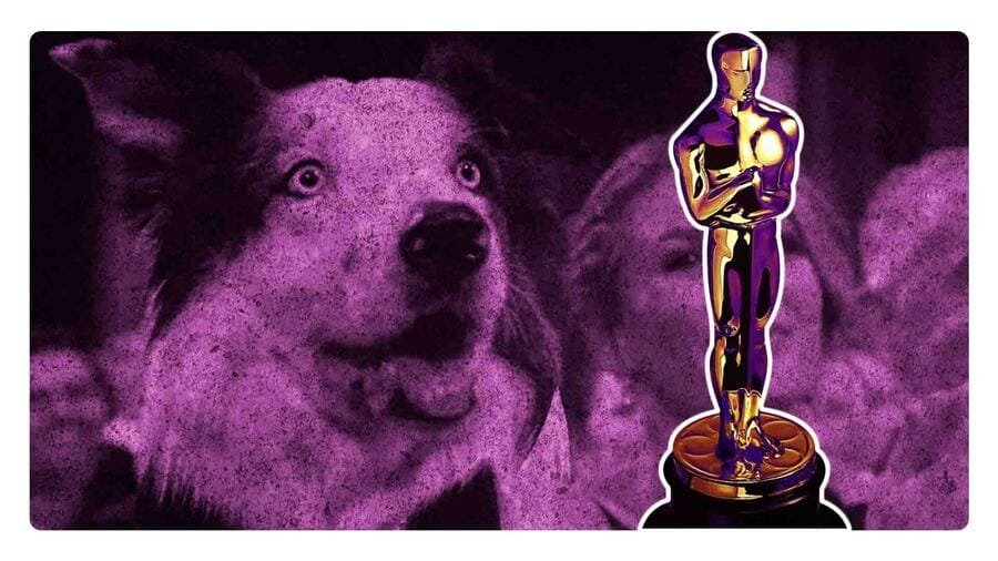 ¿Quién es el perro Messi que estuvo en los Oscar 2024?