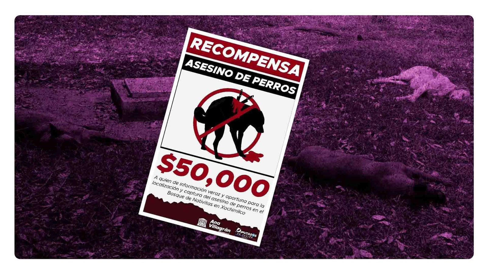 Recompensa de 50 mil pesos a quien de con el asesino de perros en Xochimilco