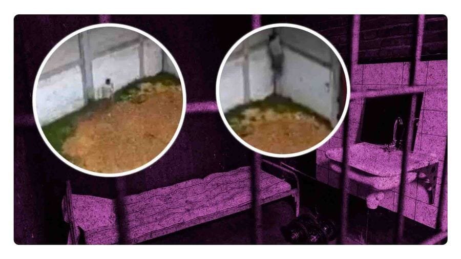 El Chapito de Tenejapa: Reo se fuga de cárcel