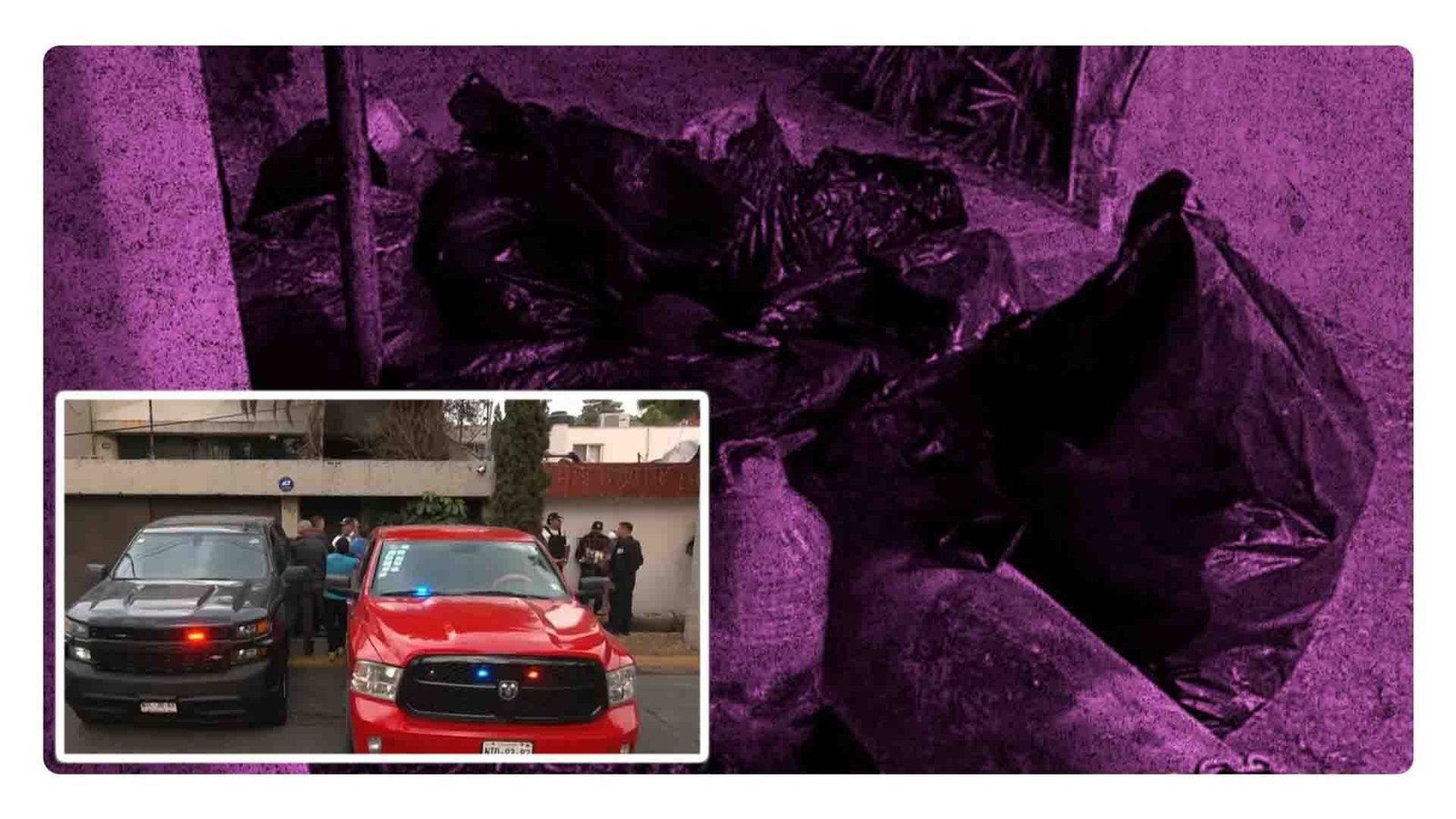 Aseguran inmueble en Naucalpan en donde sacrificaban animales