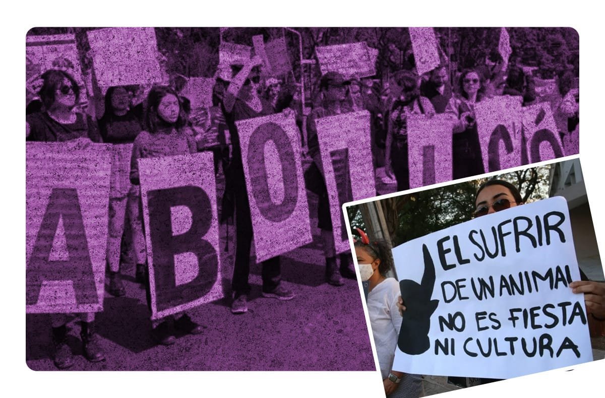 CDMX a favor de los animales: Jueza suspende corridas de toros