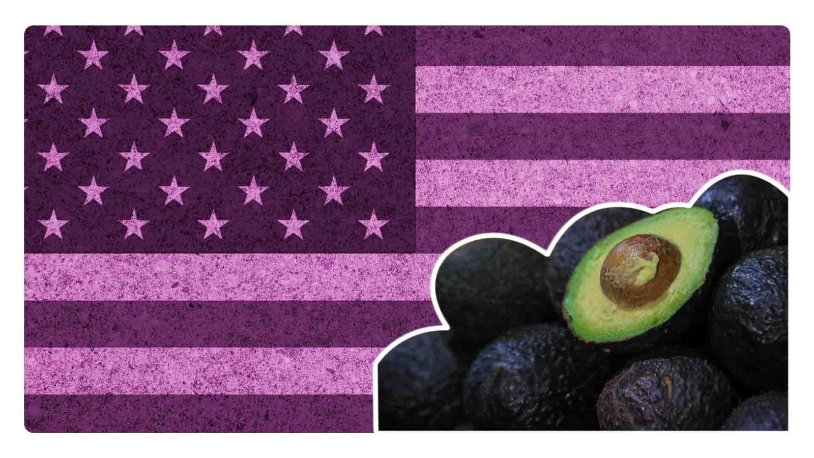 México y EU pactan; continuará la exportación de aguacate y mango