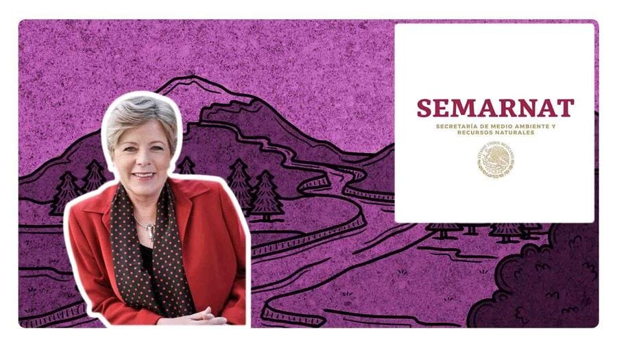 ¿Quién es Alicia Bárcena, próxima titular de la Secretaría del Medio Ambiente?