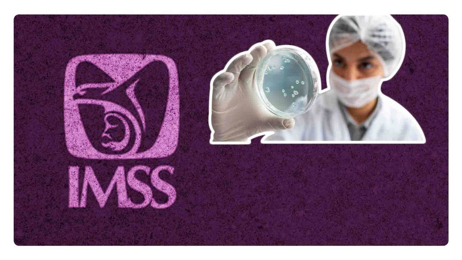 ¿Animales domésticos y zoonosis? IMSS advierte sobre riesgos
