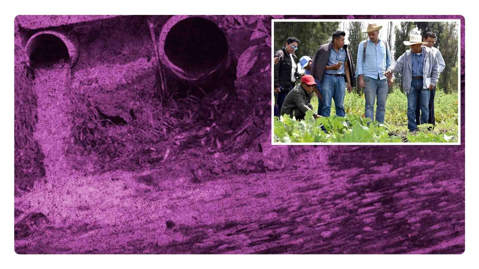 Autoridades deben garantizar el agua en chinampas de Xochimilco