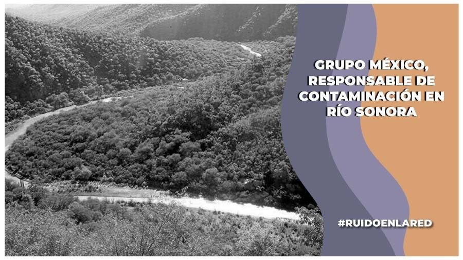 Daño ambiental continúa a 10 años de la contaminación en el Río Sonora