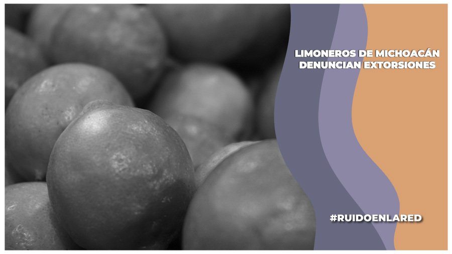 ¿Qué está pasando con los limoneros de Michoacán?