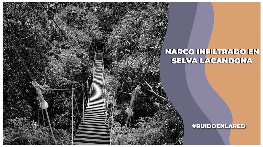 Comunidad maya denuncia infiltración del narco en Selva Lacandona