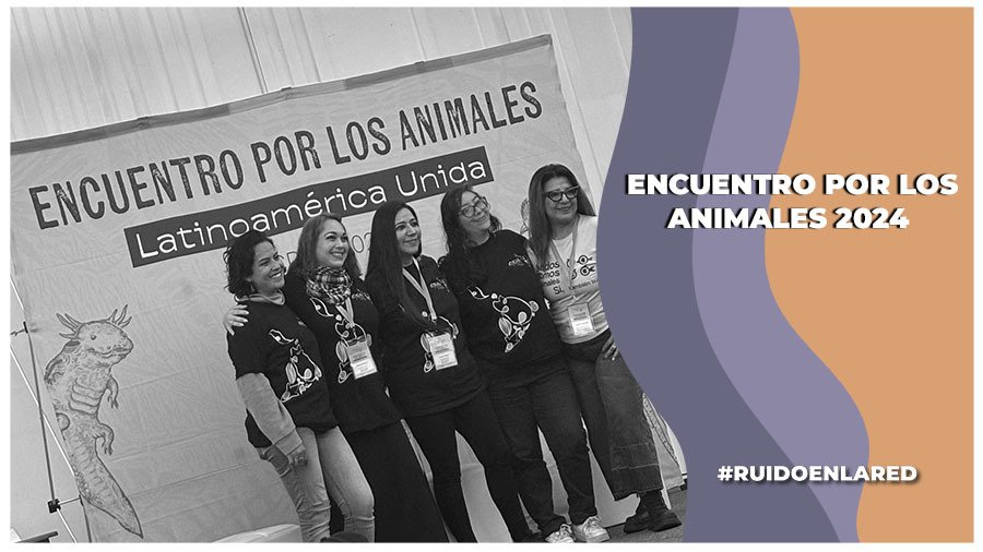 EXA 2024: Así se vivió el Encuentro por los Animales en CDMX