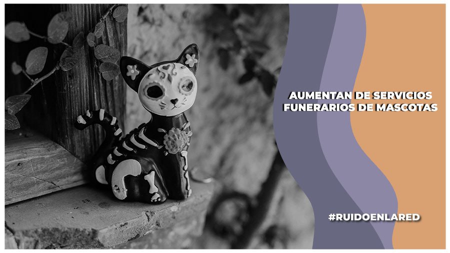 Servicios Funerarios para animales de compañía