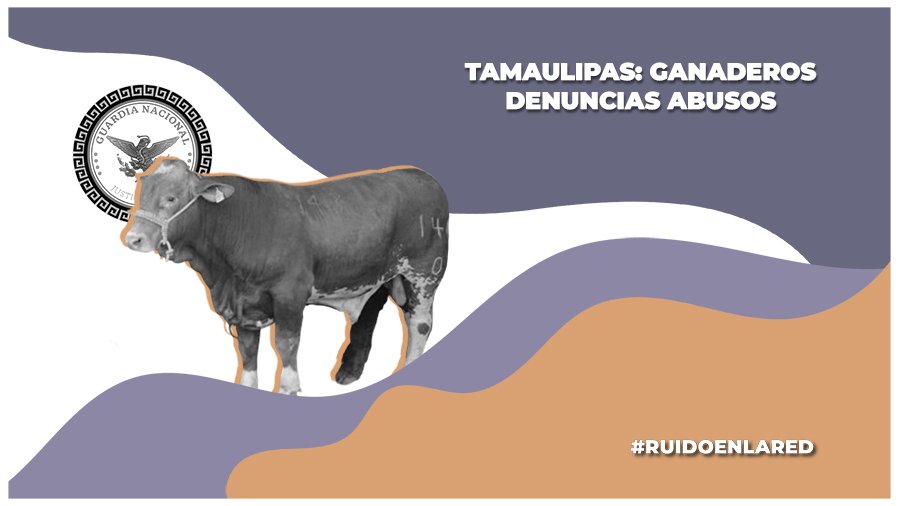 Tamaulipas: ganaderos y transportistas denuncian abusos de la Guardia Nacional