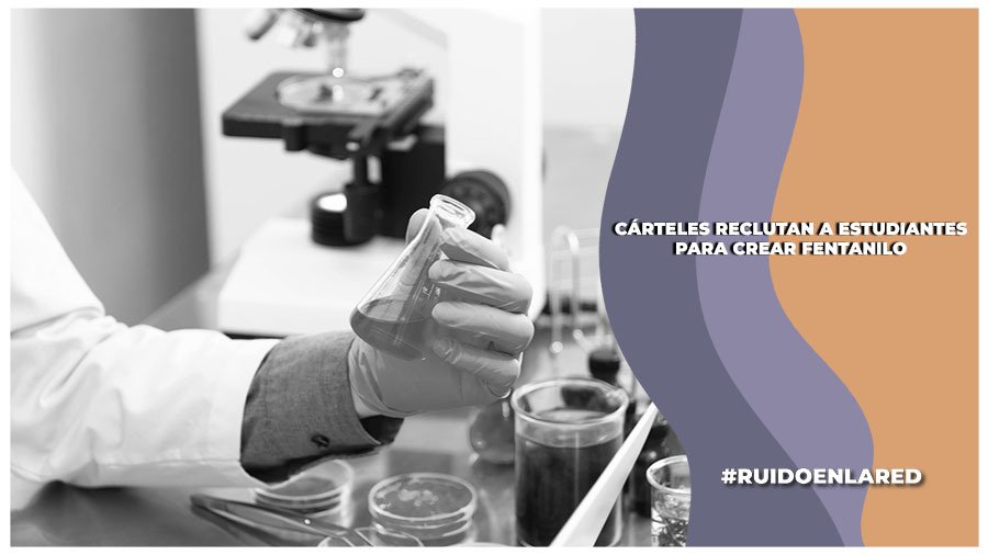 ¿Cómo reclutan los cárteles a estudiantes de química para fabricar fentanilo?