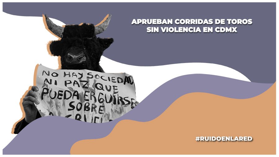 Aprueban corridas de toros sin violencia en CDMX