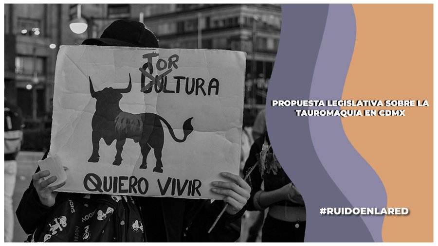 Gobierno de la CDMX enviará propuesta para que toros no mueran en corridas
