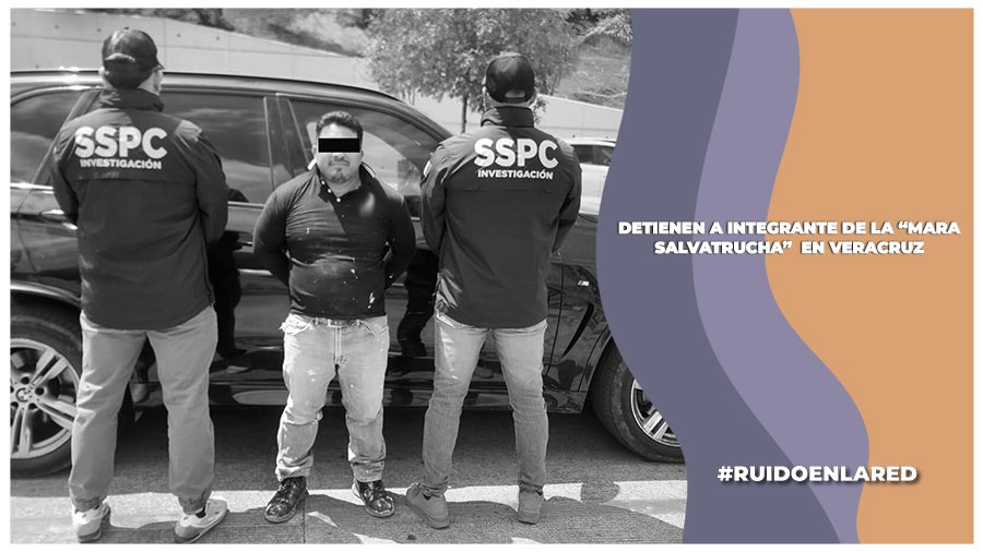 Detienen a «El Veterano», integrante de la Mara Salvatrucha, en Veracruz