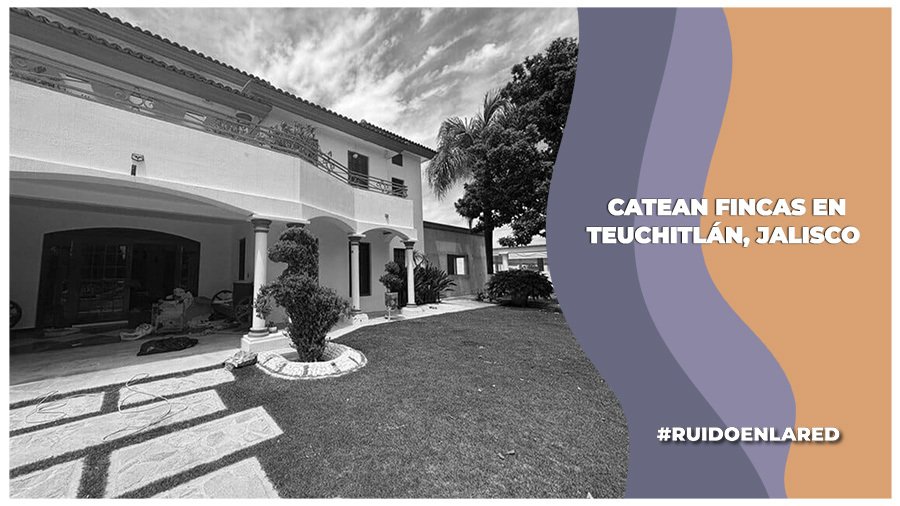 Catean fincas en Teocaltiche, Jalisco; encuentran armas, autopartes y animales