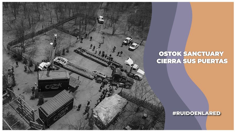 Ostok Sanctuary cerró sus puertas por la violencia en Culiacán, Sinaloa
