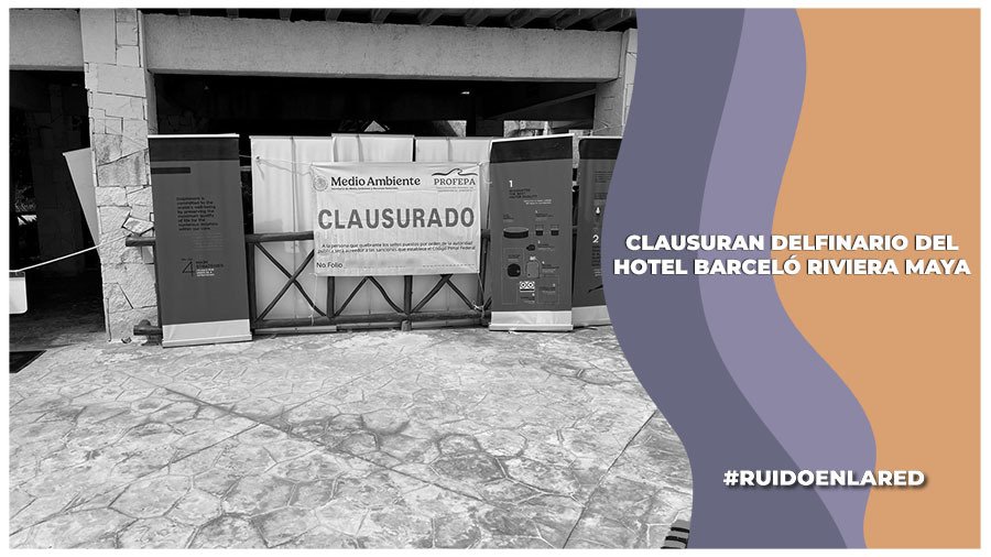 Profepa clausura delfinario del Hotel Barceló de la Rivera Maya