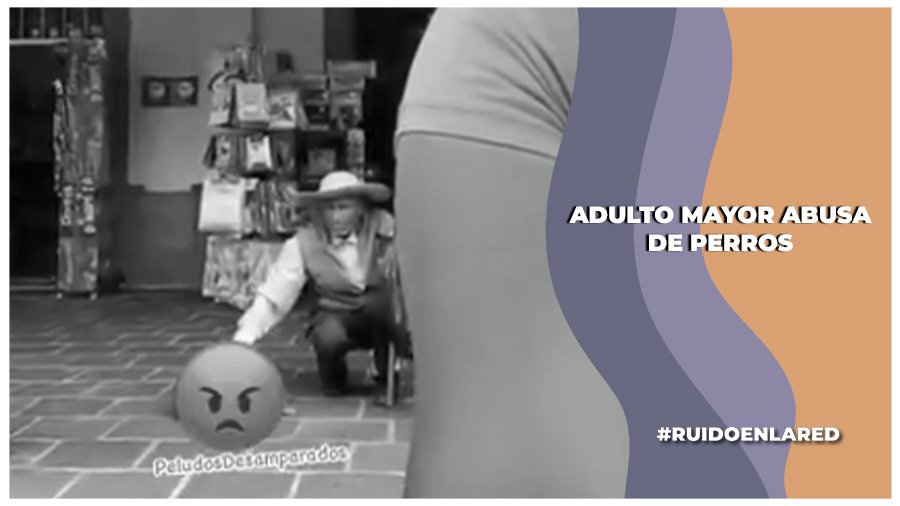 Asociación denuncia que un adulto mayor presuntamente comete abuso sexual de perros en el Edomex
