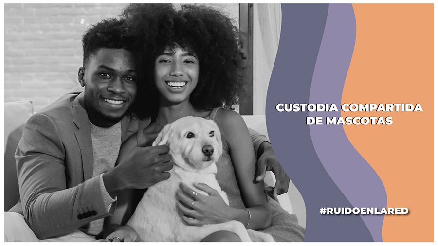 Ya es una realidad la custodia para los animales de compañía en la CDMX