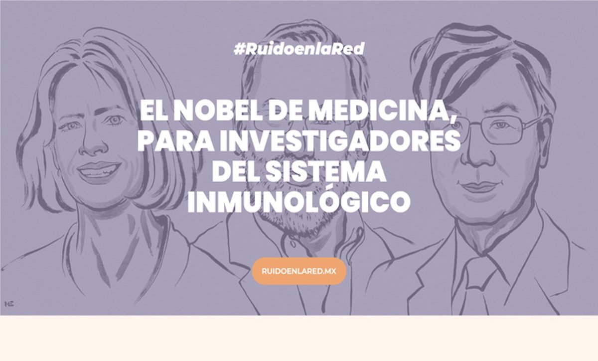 El Nobel de Medicina 2025, para investigadores del sistema inmunológico