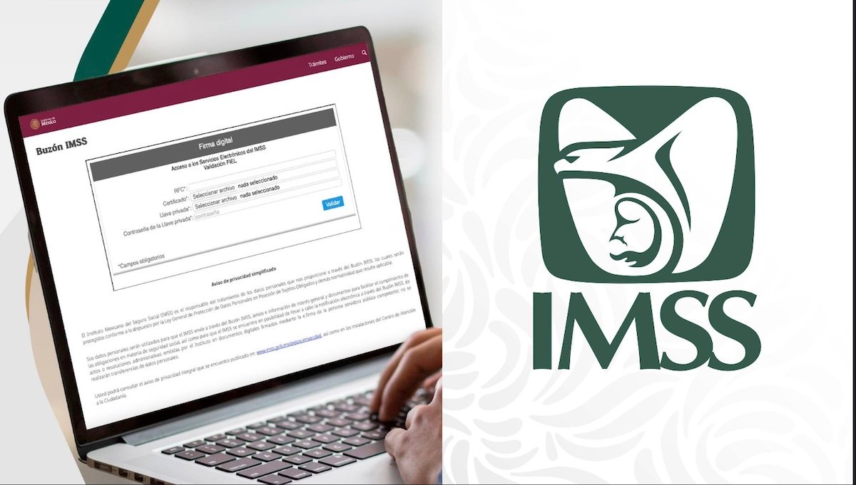 Tarjetón Digital del IMSS: ¿cómo sacarlo en línea? Paso a paso del proceso