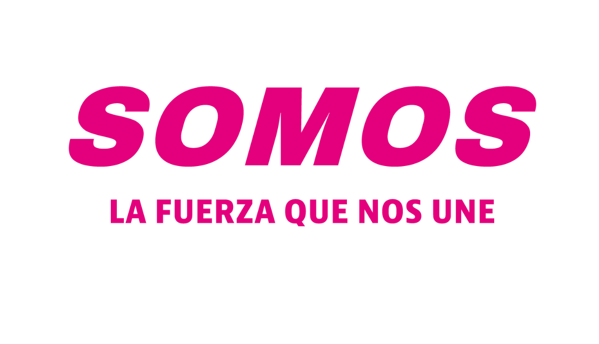 INE avala nuevo emblema del partido SOMOS y rechaza versión complementaria