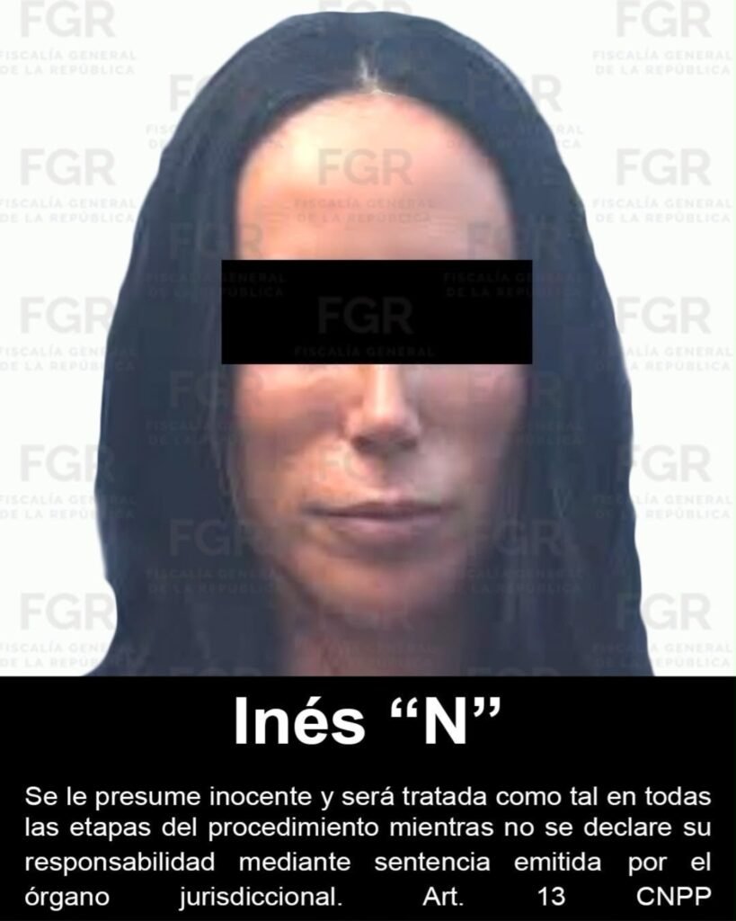 Inés Gómez Mont detenida 
